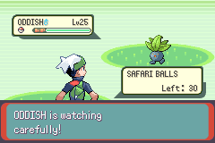 Safari Pokémon not fleeing